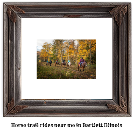 horse trail rides near me in Bartlett, Illinois